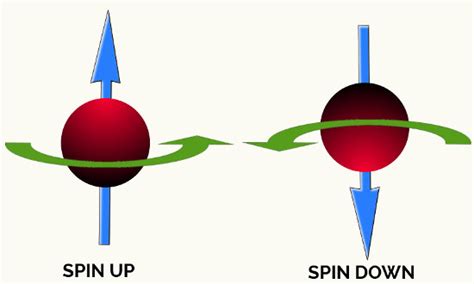 spin(名词)