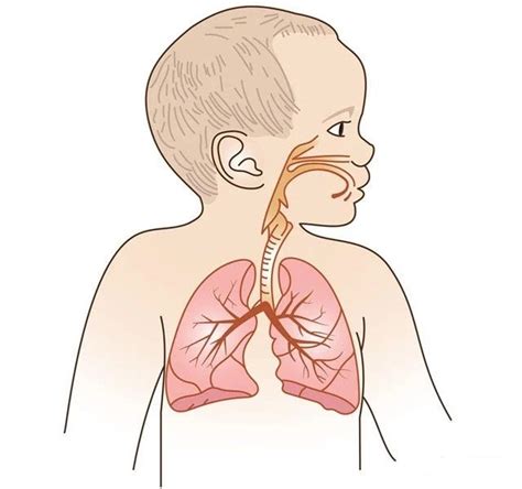儿童鼻窦炎经常流黄鼻涕