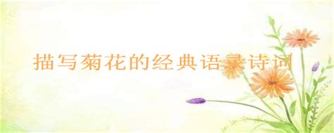 夸赞厨师的经典语录