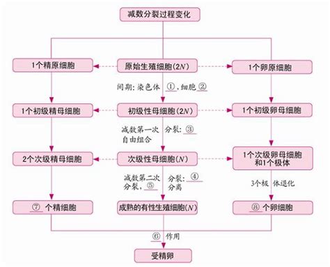 护考必考核心知识点大全