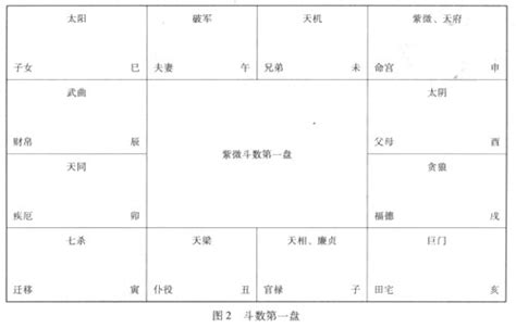 谁知道“紫薇斗数”软件在哪里能下载啊?