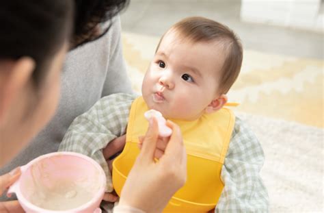 宝宝辅食添加知识点