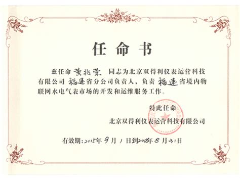分公司负责人任职文件的范本.