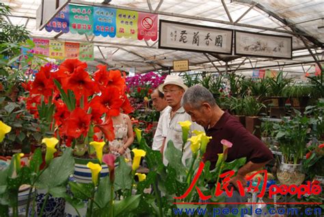 广州市窖口花卉市场早上几点开门?