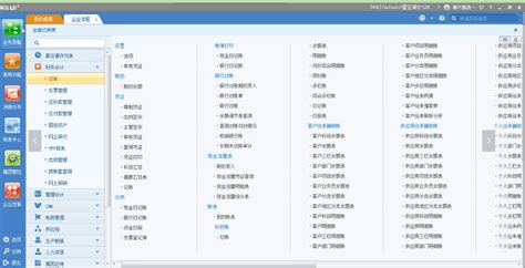 政府的 会计核算中心 用的什么软件做账做核算?