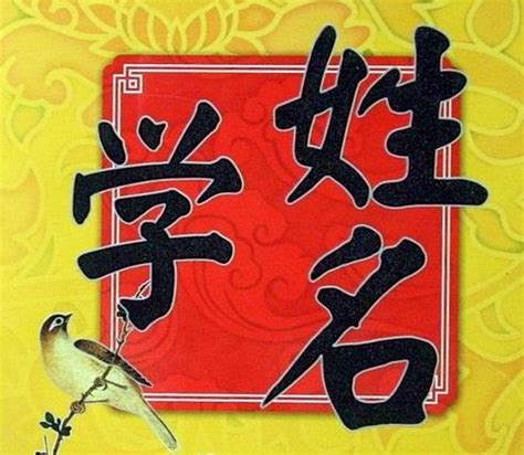 我的独特姓名【合集4篇】