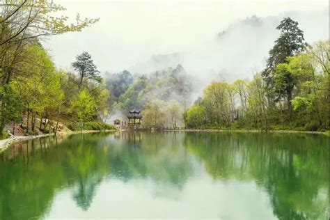雅安喇叭河旅游区有没有直达班车到成都。多少点到多少点有车