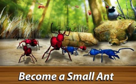 瓢虫大战蚂蚁