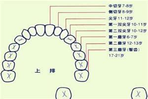 2岁半宝宝刷牙的正确方法