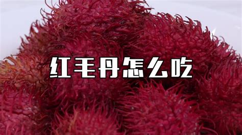 红毛丹多少钱一斤?