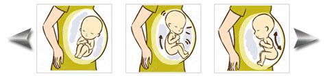 怀孕多少周能轻微感觉胎动