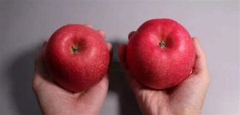 好吃的苹果-关于水果作文200字(经典7篇)