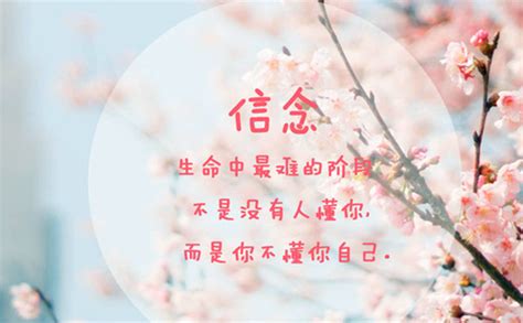 现实生活的残酷与无奈句子
