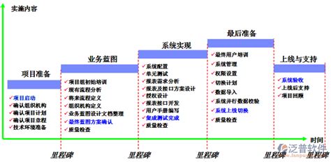 如何组织和实施一个软件项目