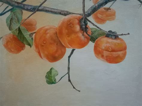 家乡的柿子_写柿子的作文300字(共4则)