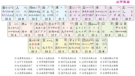 怎么在电脑上下载练习打五笔的软件啊