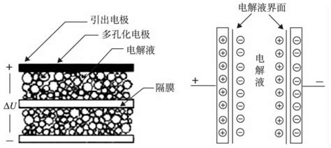 简述人体免疫系统的工作原理?