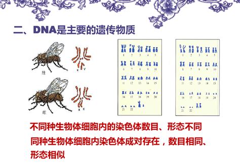 遗传_六年级作文500字（共9则）