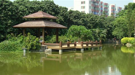 深圳荔林公园在哪?怎么去?