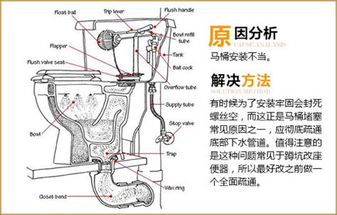 虹吸式马桶结构图及原理,马桶堵了怎么办