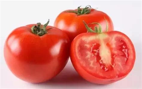 无子番茄怎么培育,具体过程是什么? 为什么它的遗传物质和母本一样,为什么不是单倍体?
