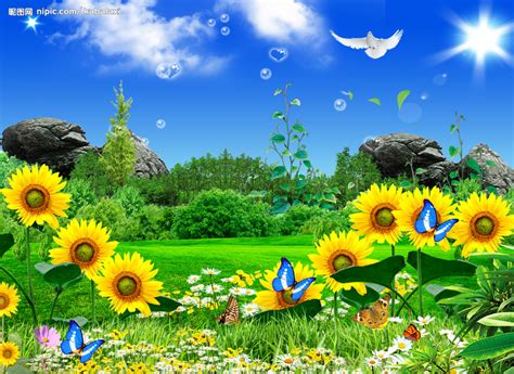 春天的花园-写景作文200字（通用5则）