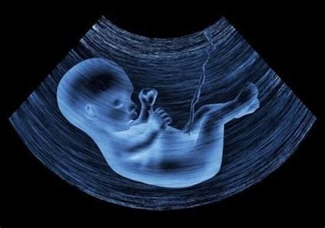 孕期什么情况会让胎儿营养不良