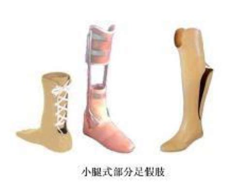 各种足型的图片