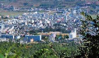 静安区武定路333弄属于哪个街道