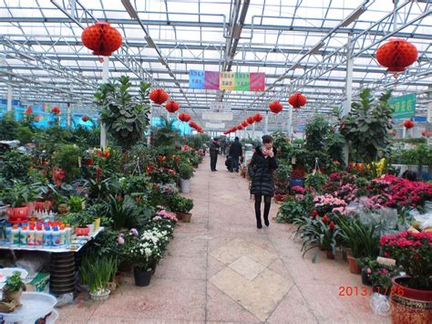 逛花市-叙事作文300字【优秀4篇】