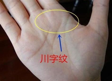 断掌纹图片的恋爱抖音说说