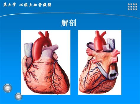 四维检查心脏静脉导管异常