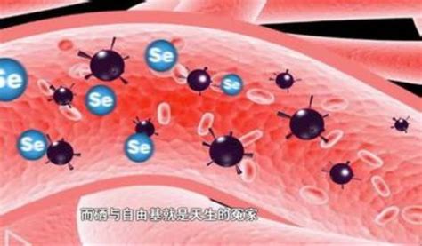 生育给女性带来的好处