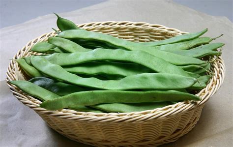 豆的種類有哪些?