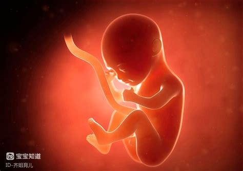 孕妇吃寒性食物对胎儿有什么影响