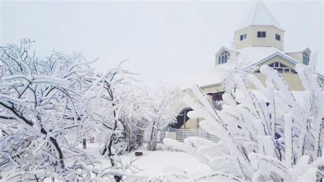 请问西岭雪山现在下雪了吗?