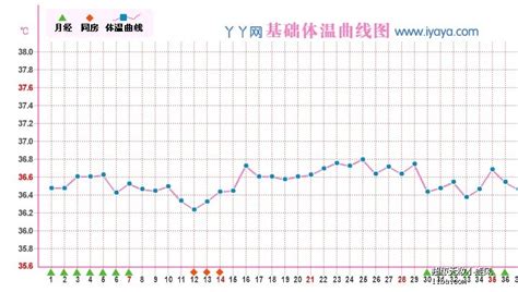 怎么算孕周期天数