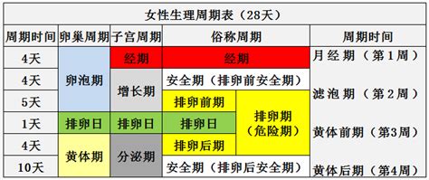 女性生理安全期计算