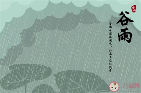 谷雨过后的微信说说