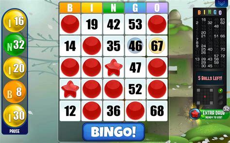 单词bingo怎么用