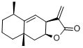 磨盆草是什么植物？它有什么功效？