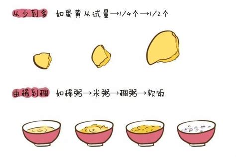 6-12月辅食图片