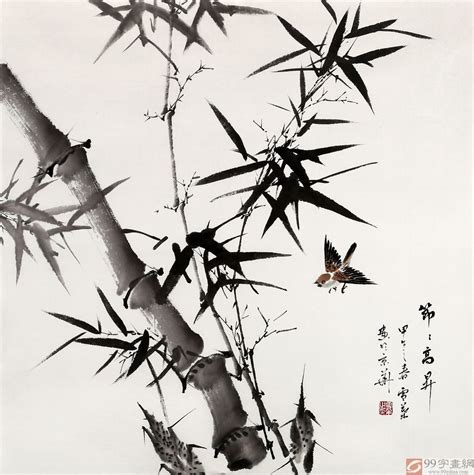 赞美竹子的名言警句(精选89句)