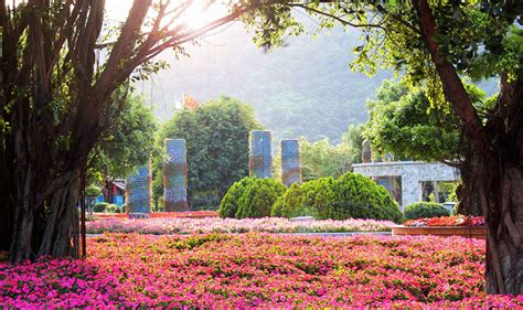 广州花卉博览园(花卉批发市场)每天的营业时间?