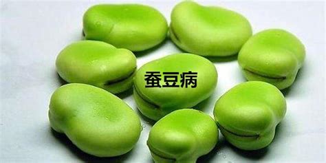 吃到所谓的‘蚕豆王’为什么会中毒？