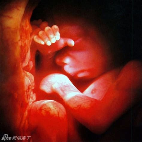 胎儿未出生声音有记忆吗