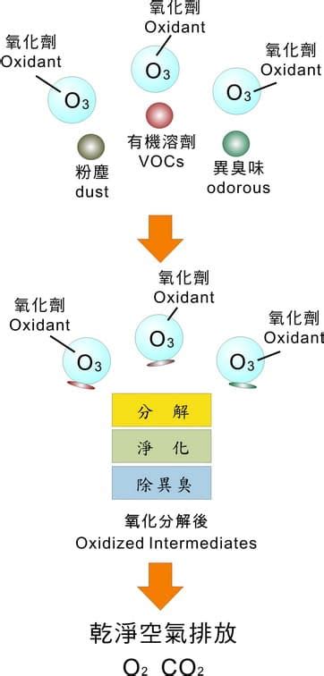 臭氧在常温下能分解甲醛吗