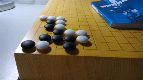 求一个自定义棋盘大小围棋软件