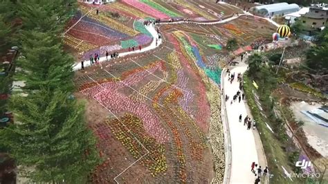 罗定e天空怎样注册