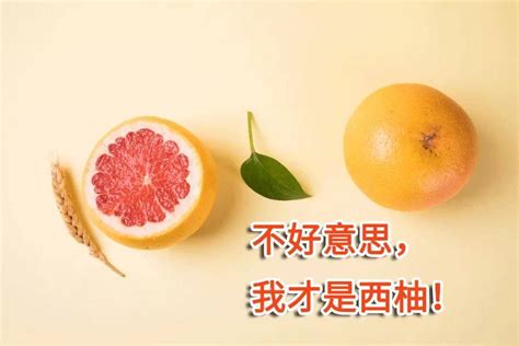 葡萄柚是什么功效